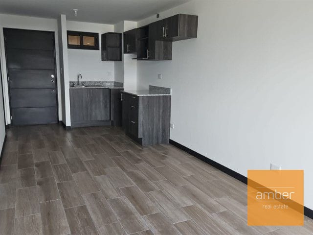 Petápolis, zona 12 — Apartamento en Venta en Petápolis, Zona 12, Guatemala, Ciudad — foto 9 de 12