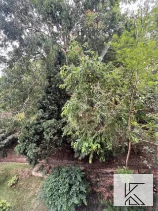 Amplio apartamento en VENTA en Moradas del Acueducto en zona 10 — Apartamento en Venta en Moradas del Acueducto, Zona 10, Guatemala, Ciudad — miniatura 8 de 15