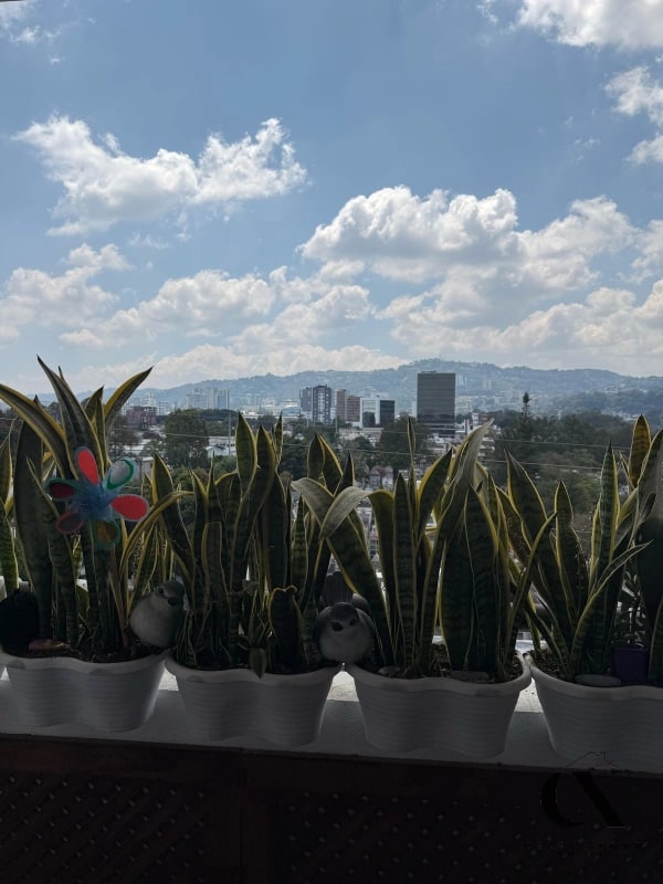 Venta de apartamento en zona 14 Segheria - 6