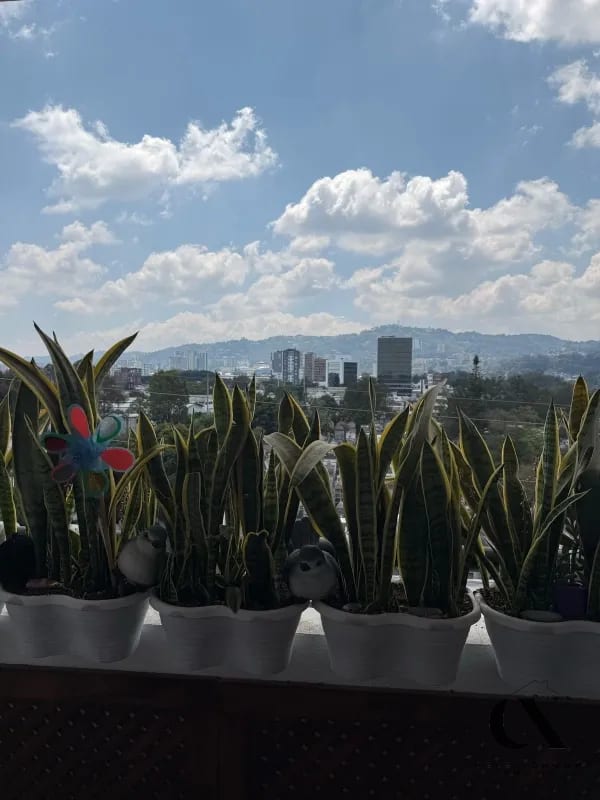 Venta de apartamento en zona 14 Segheria — Apartamento en Venta en Segheria, Zona 14, Guatemala, Ciudad — foto 7 de 11