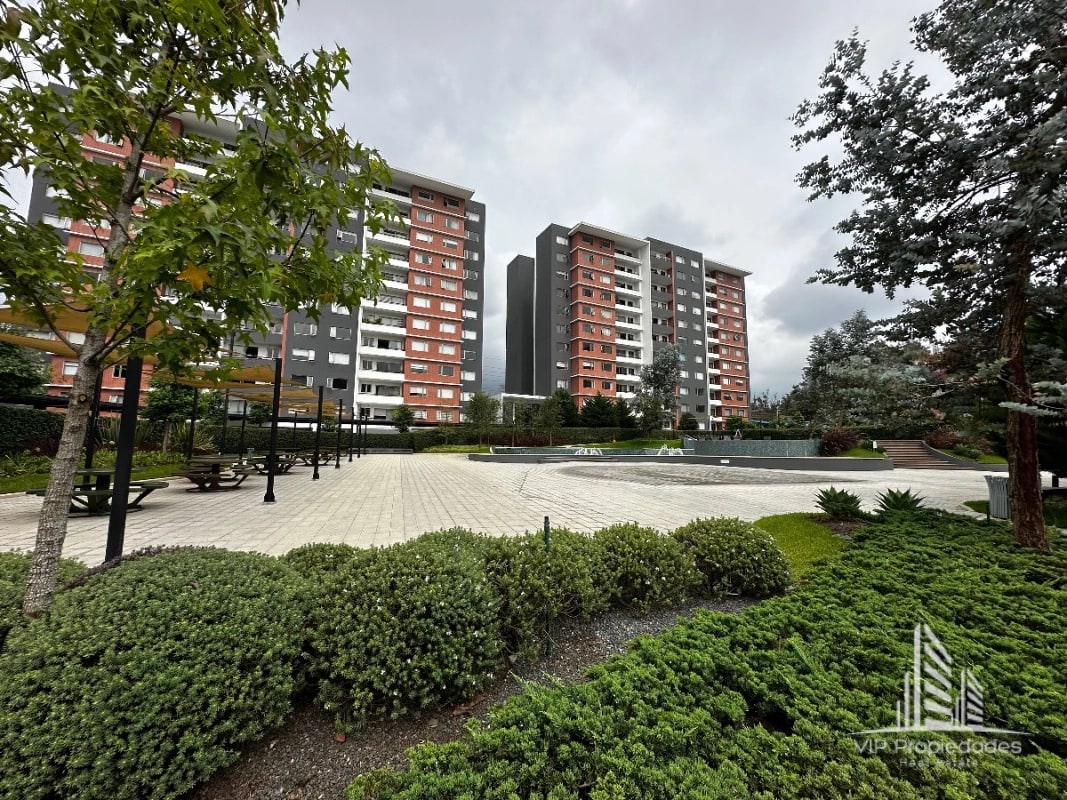Segheria zona 14, apartamento en alquiler - 5