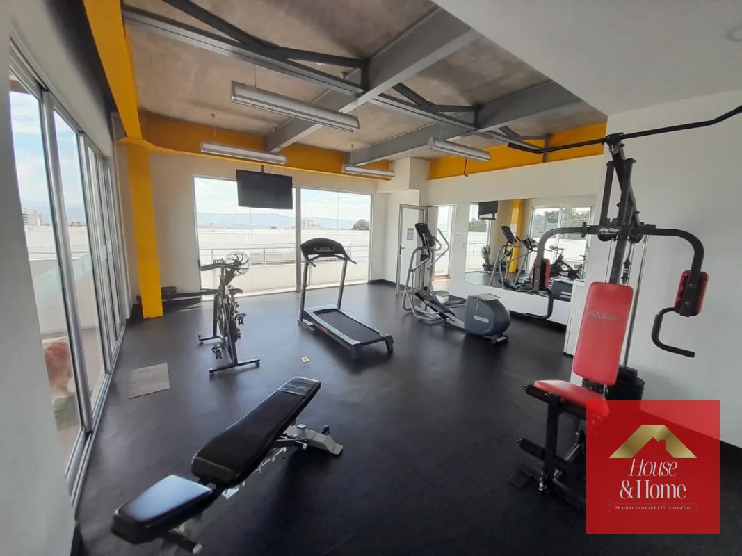 ZONA 11 / LOFT EN RENTA VIVENTI ONCE - 3