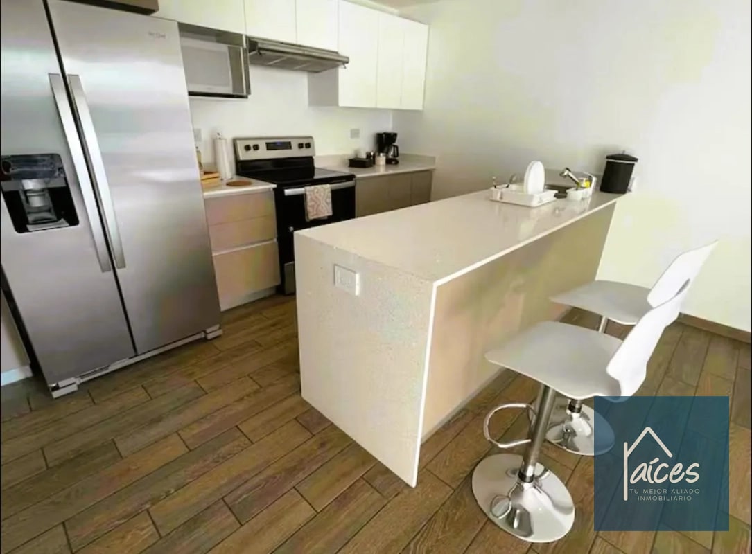 Apartamento amueblado en renta Parque 15 (D) - 12