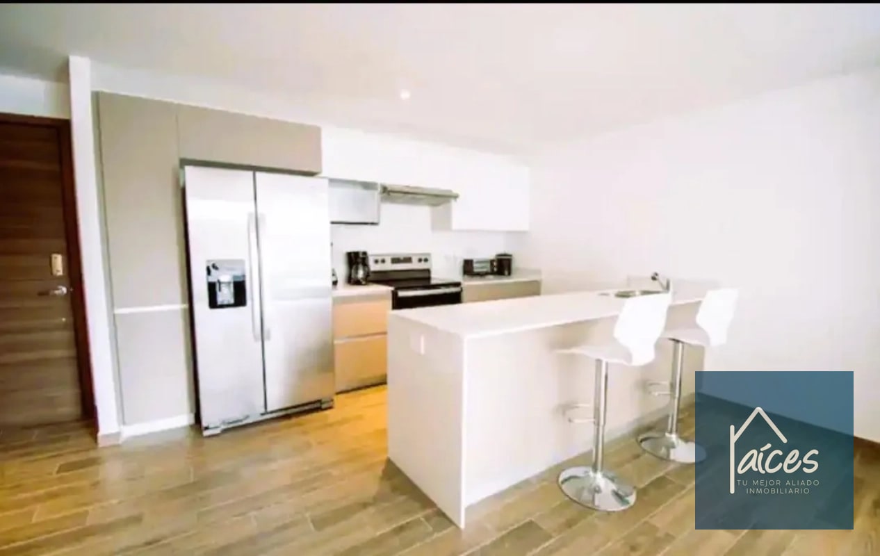 Apartamento amueblado en renta Parque 15 (D) - 11