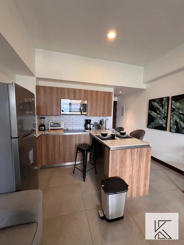 Apartamento en renta en Zona 13 Edificio Elemento - 6