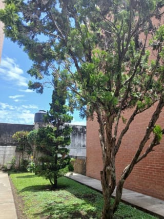 Apartamento Amueblado - Zona 11 — Apartamento en Alquiler en Colonia Mariscal, Zona 11, Guatemala, Ciudad — miniatura 1 de 7