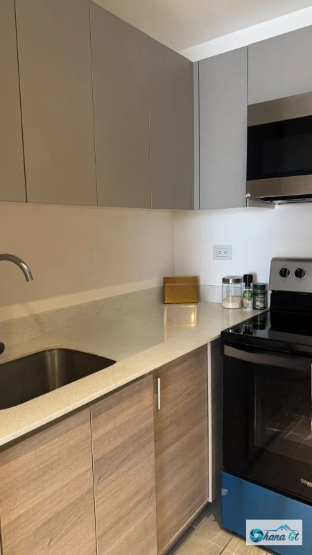 APARTAMENTO AMUEBLADO EN RENTA ZONA 10 EDIF. PARQUE 10 - 3