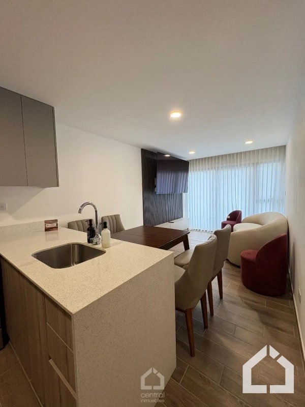 Apartamento amueblado de 2 habitaciones en RENTA en Parque 14 - 12