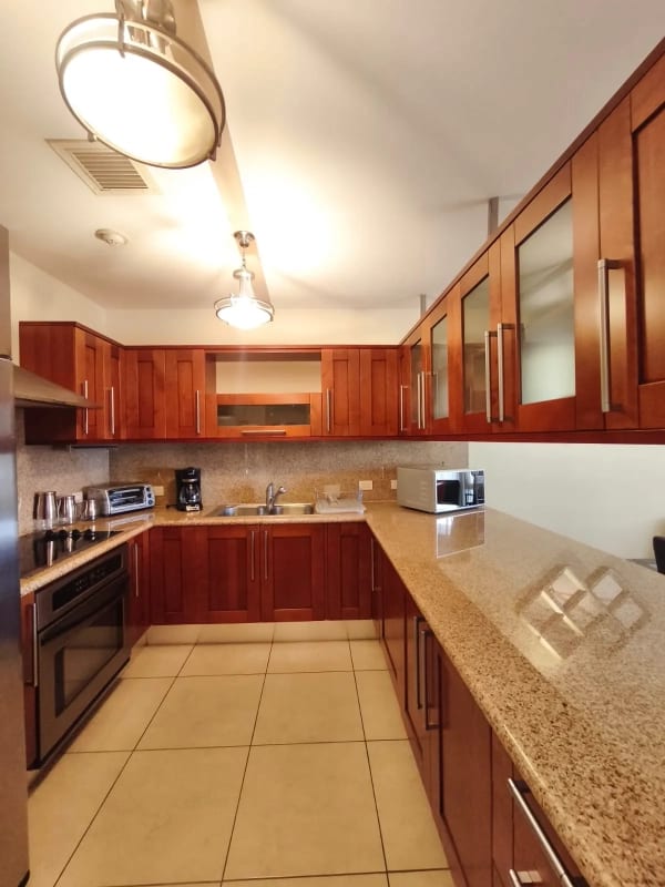 Apartamento Amueblado en Venta y Renta en Zona 14 — Apartamento en Alquiler en Zona 14, Guatemala, Ciudad — foto 3 de 17