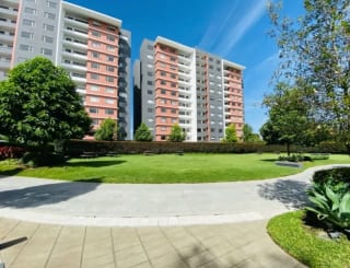 Rento apartamento en edificio Segheria zona 14 — Apartamento en Alquiler en Zona 14, Guatemala, Ciudad — miniatura 1 de 16