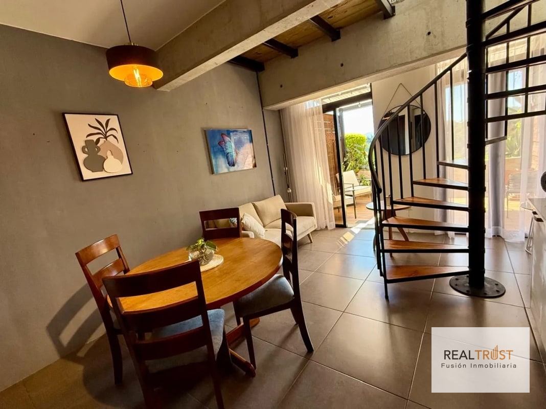 Rento apartamento tipo loft de una habitación en zona 10 - 3