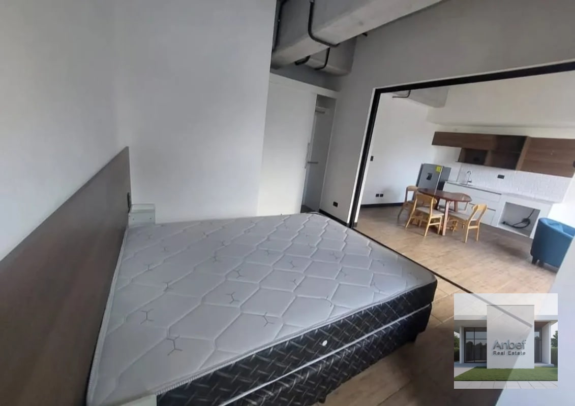 Venta Apartamentos Amueblados 1 y 2 Dormitorios Zona 10 - 3
