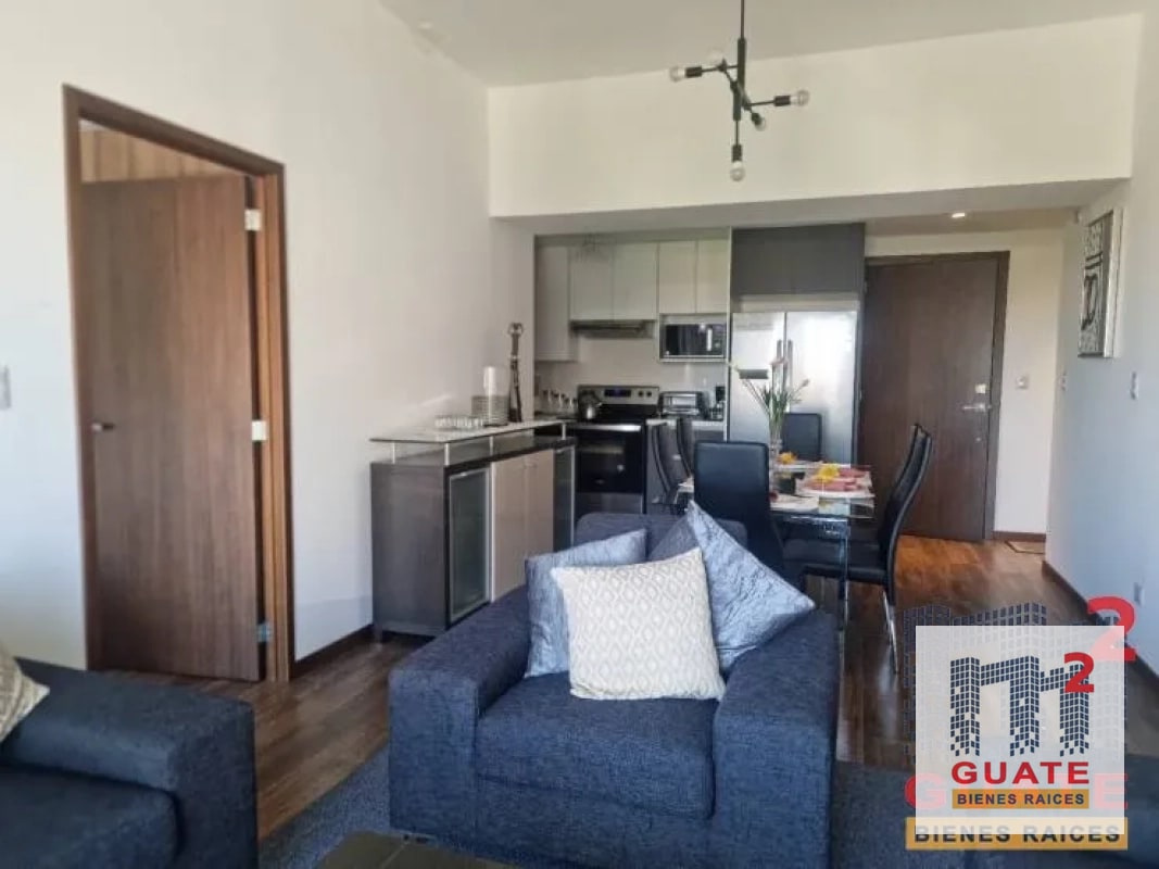 Apartamento en Renta, Zona 10 - 9