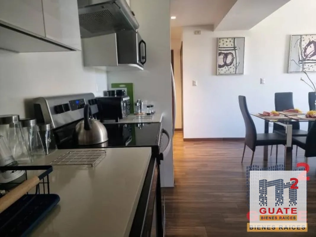 Apartamento en Renta, Zona 10 - 6