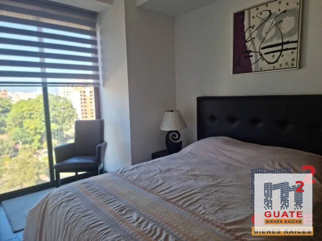 Apartamento en Renta, Zona 10 - 4