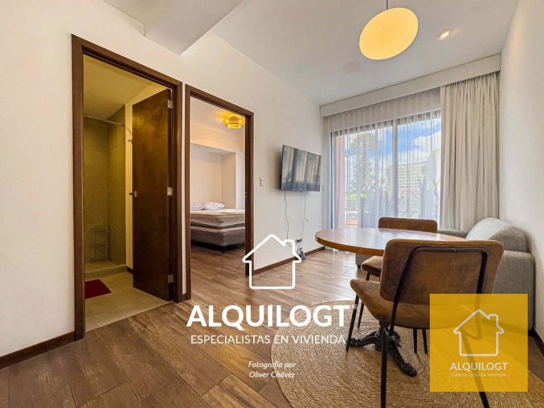 APARTAMENTO AMUEBLADO EN BRUNELO ZONA 10 DE 1 HAB AGT2891 - 15