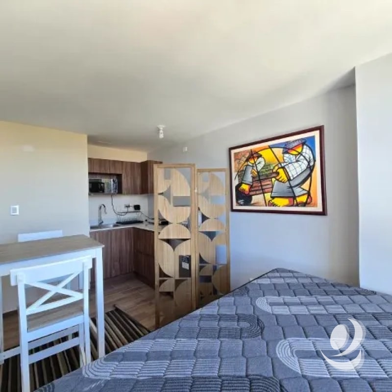¡¡¡Precioso Apartamento tipo Estudio en Renta Zona 2 de Mixco, Calzada Roosevelt!!! - 6