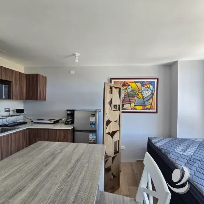 ¡¡¡Precioso Apartamento tipo Estudio en Renta Zona 2 de Mixco, Calzada Roosevelt!!! - 4