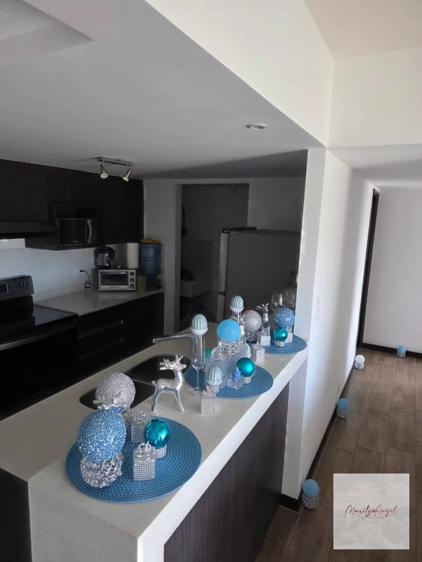 RENTA DE APARTAMENTO EN CONDADO EL NARANJO. EDIFICIO ALEGRIA - 7