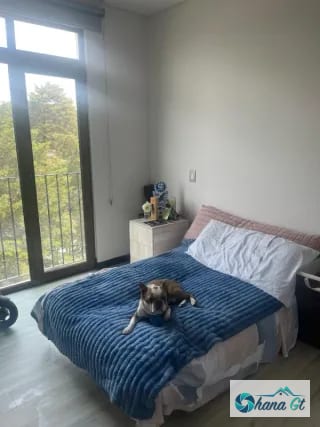 RENTO APARTAMENTO, Lirios de Cayalá zona 16 — Apartamento en Alquiler en Lirios de Cayalá II, Zona 16, Guatemala, Ciudad — miniatura 6 de 6