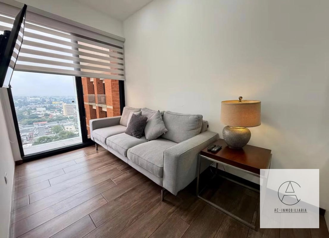 Apartamento amueblado en renta, Brunelo, zona 10 - 6