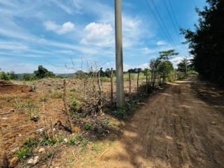 Alquilo Terreno en Lo de Diéguez 10,000 Varas Semi Planas — Terreno en Alquiler en Carretera a El Salvador, Guatemala, Ciudad — miniatura 3 de 5
