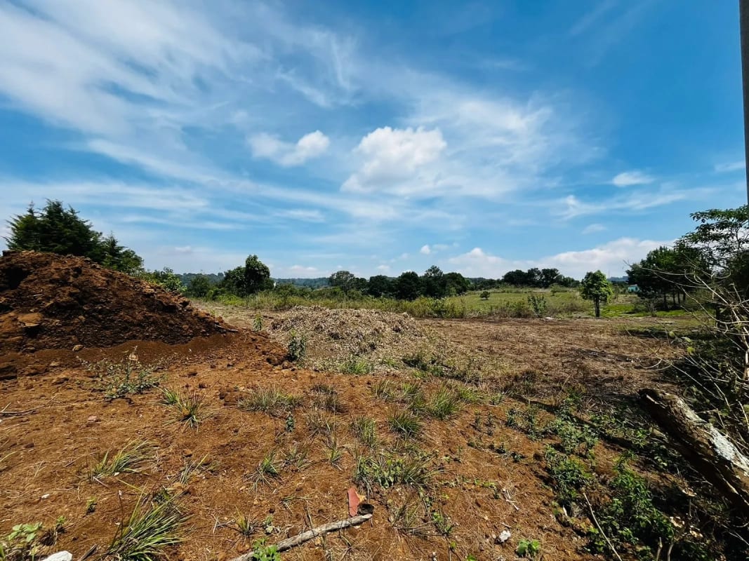 Alquilo Terreno en Lo de Diéguez 10,000 Varas Semi Planas — Terreno en Alquiler en Carretera a El Salvador, Guatemala, Ciudad — foto 2 de 5