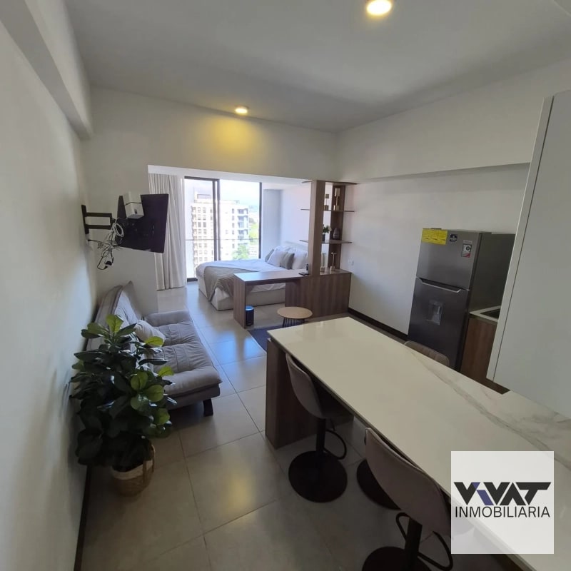 Apartamento En Renta tipo Loft en Edificio Elemento zona 13 - 5