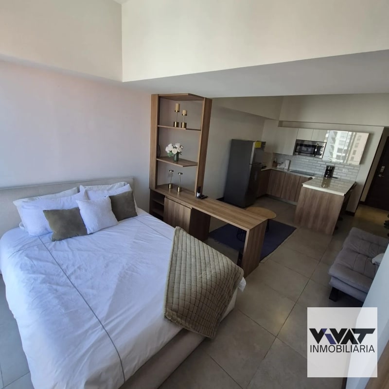 Apartamento En Renta tipo Loft en Edificio Elemento zona 13 - 2