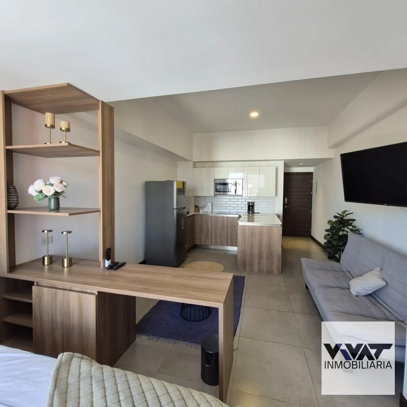 Apartamento En Renta tipo Loft en Edificio Elemento zona 13 - 1