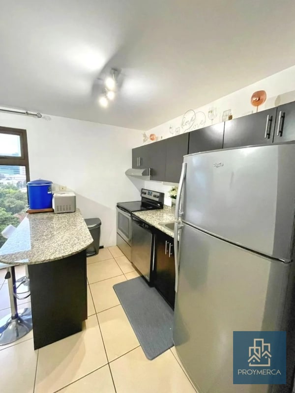 Apartamento amueblado en alquiler, Edificio Madeleine, Zona 10 - 6
