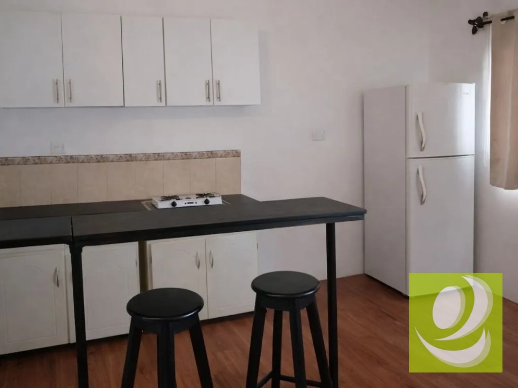 Apartamento en Renta en El Sauce zona 2 cdad - 5