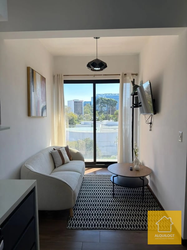 APARTAMENTO AMUEBLADO  ZONA 10 DE 2 HAB AGT2905 - 15