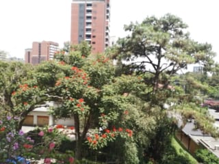 Apartamento Venta Zona 14 — Apartamento en Venta en Zona 14, Guatemala, Ciudad — miniatura 7 de 9