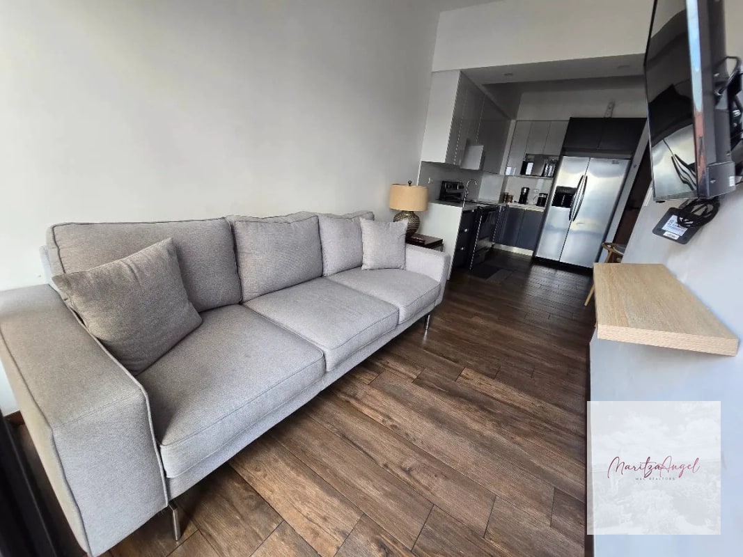 APARTAMENTO AMUEBLADO EN RENTA , EDIFICIO BRUNELO - 4