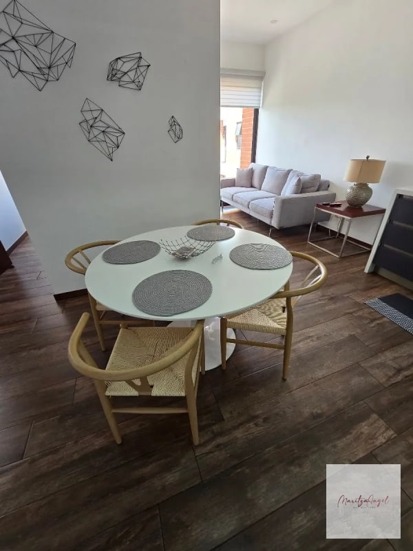 APARTAMENTO AMUEBLADO EN RENTA , EDIFICIO BRUNELO - 1