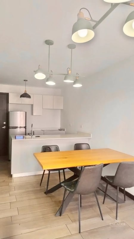 Zona 11 • Apartamento en Renta • Viró Mariscal • Amueblado - 11