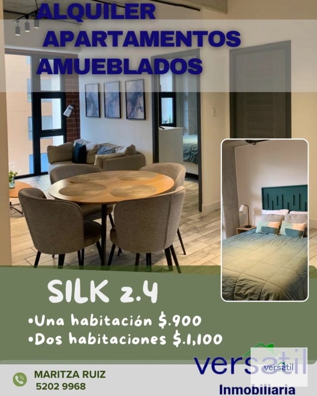 Apartamentos AMUEBLADOS de una o dos habitaciones SILK zona 4 - 1