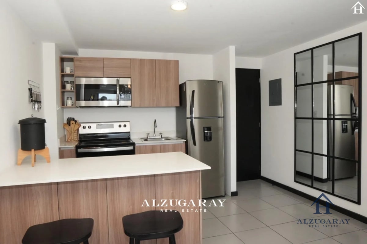 APTO. MODERNO, AMUEBLADO 2 HAB. /EDIFICIO MERAKI Z 14 - 8