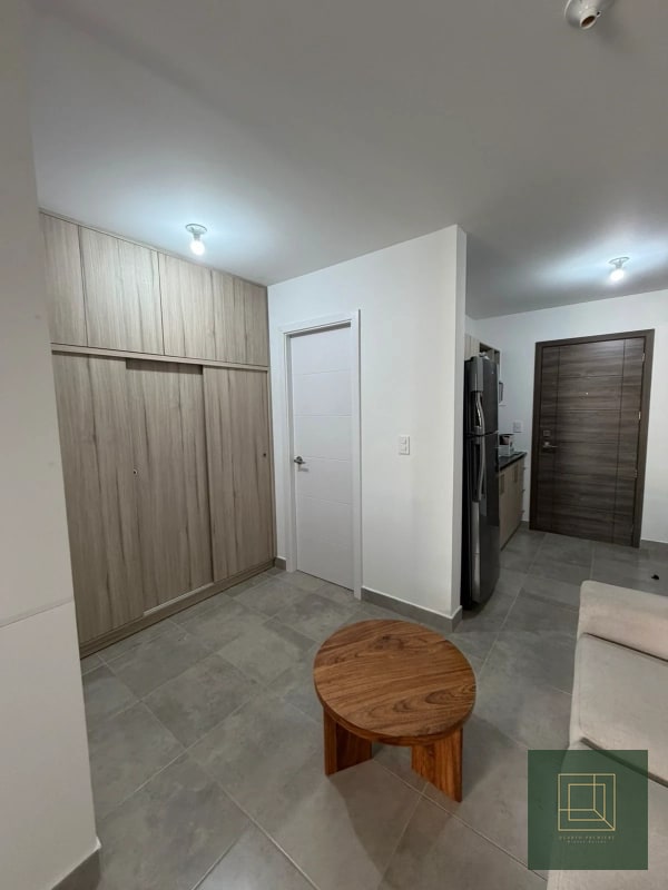 Apartamento tipo estudio en renta zona 4 - 2