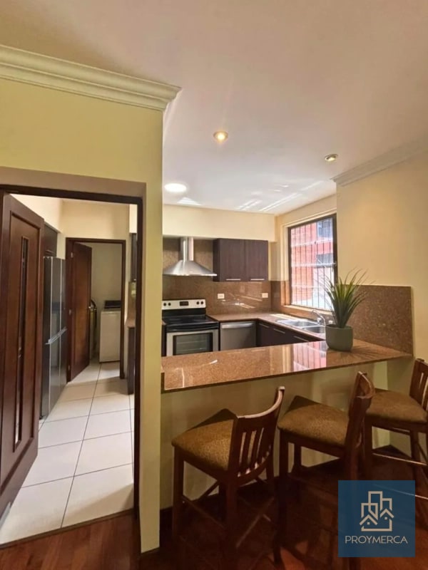Apartamento con jardín en venta, Edificio Plenum 5ta Avenida Zona 14 - 9