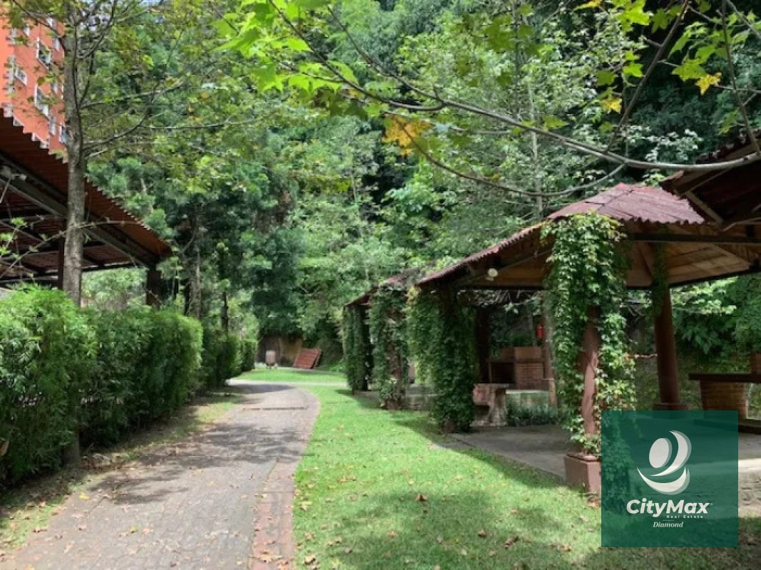 Apartamento en Renta y Venta en zona 13 - 15