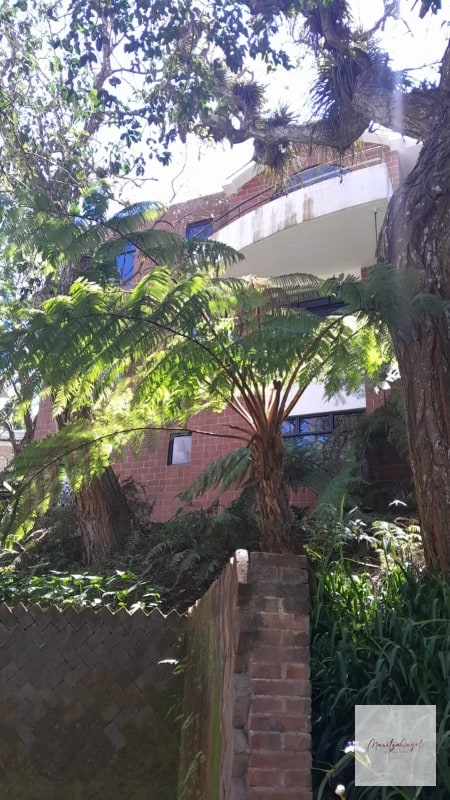 ALQUILER DE APARTAMENTO EN CARRETERA A EL SALVADOR VILLA CAFETTO - 3