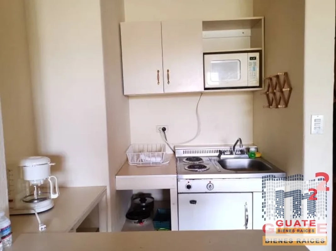 Apartamento en Renta, Zona 14 - 3