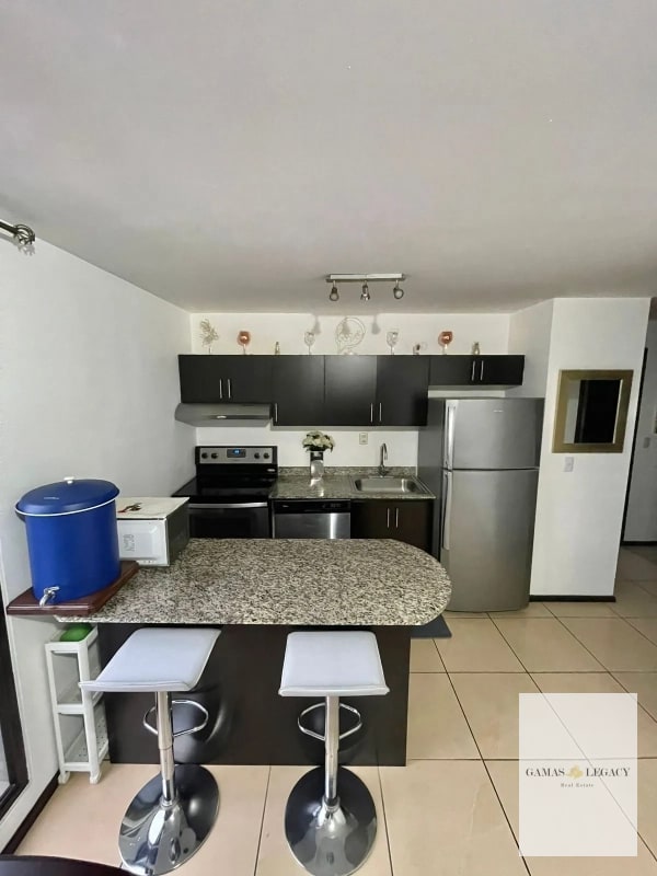 Apartamento Amueblado en renta I Edificio Madeleine I Zona 10 - 8