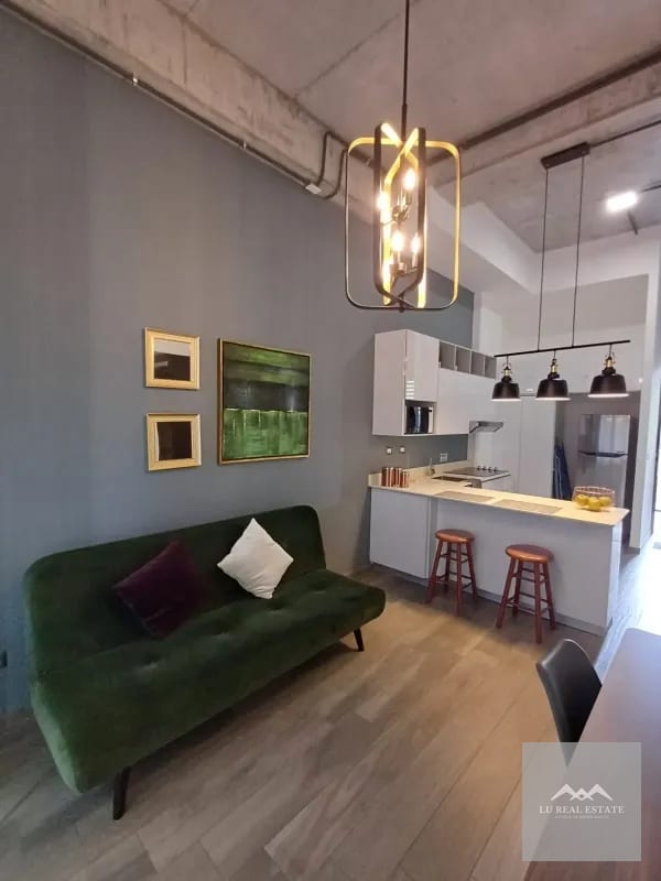 Apartamento de una habitación amueblado en z16 — Apartamento en Alquiler en Zona 16, Guatemala, Ciudad — foto 3 de 6