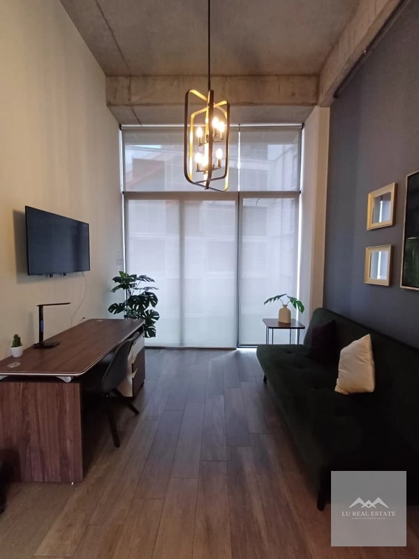 Apartamento de una habitación amueblado en z16 - 1