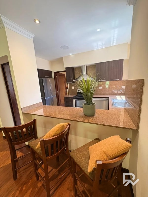 Alquiler o venta de apartamento en Edificio Plenum zona 14 - 2