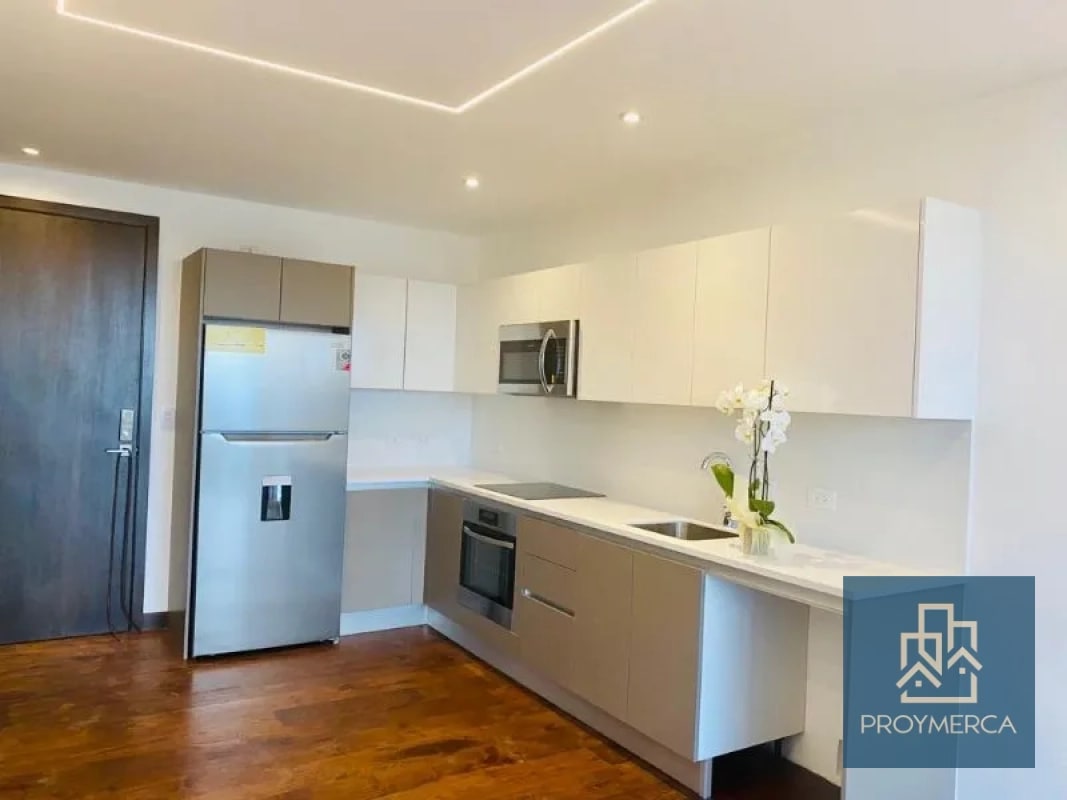 Apartamento en alquiler, Alto Vasanta, Zona 10 - 4