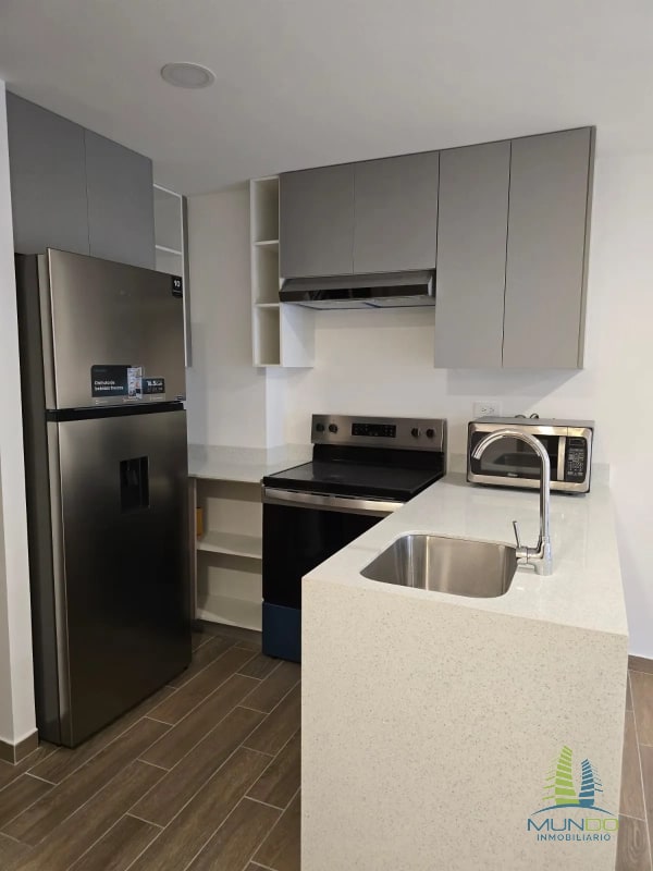 APARTAMENTO EN RENTA PARQUE 14 - 6